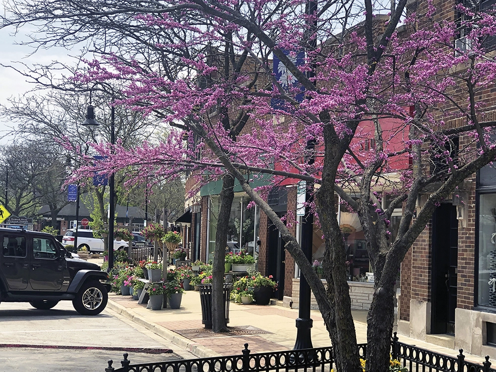 Downtown-in-Spring