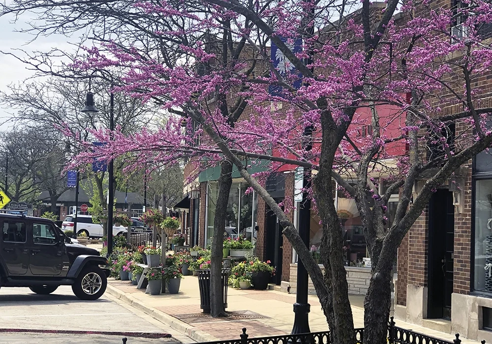 Downtown-in-Spring