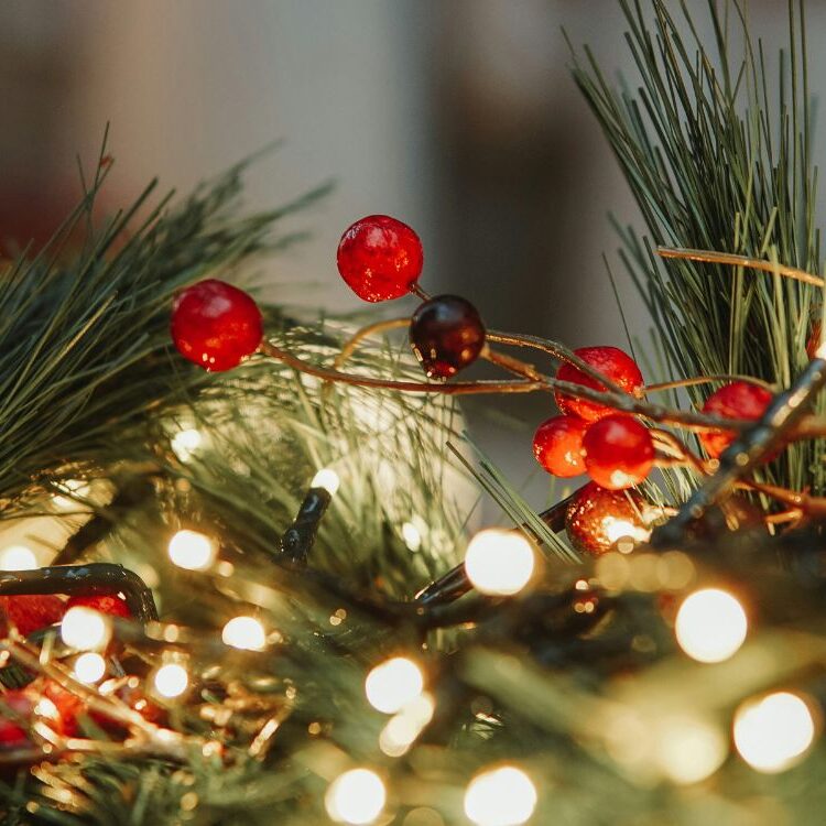 HM-DG-OB-Out-About-Christmas-Displays